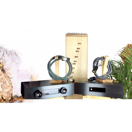 Quinzaine6 - 13 Février 2021